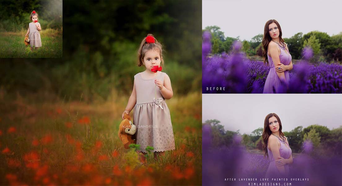 23 Wild Poppies And Lavender Love PNG Overlays 23 Wild Poppies And Lavender Love PNG Overlays
