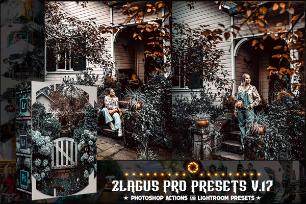 PRO Presets V17 Photoshop And Lightroom PRO Presets V17