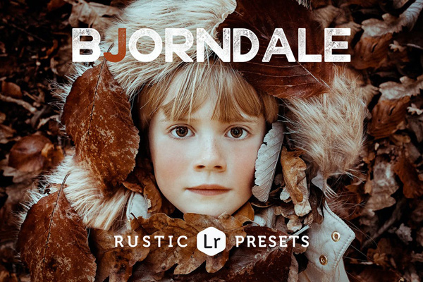 Bjorndale Rustic Presets