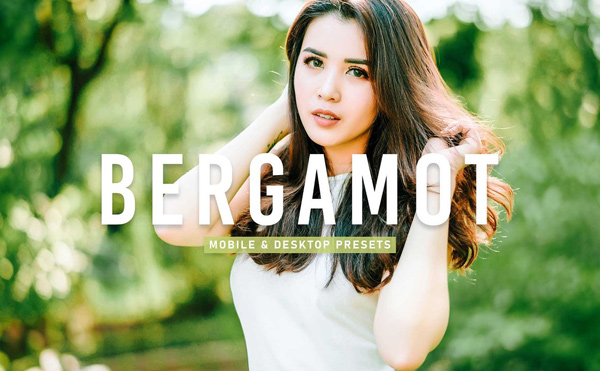 CreativeMarket Bergamot Presets