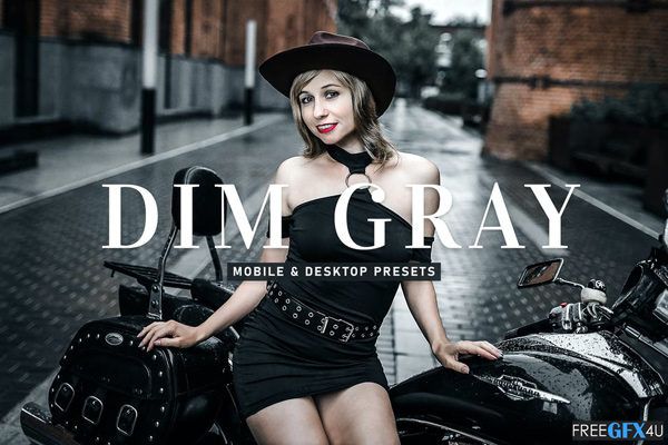 Dark Gray Lightroom Presets