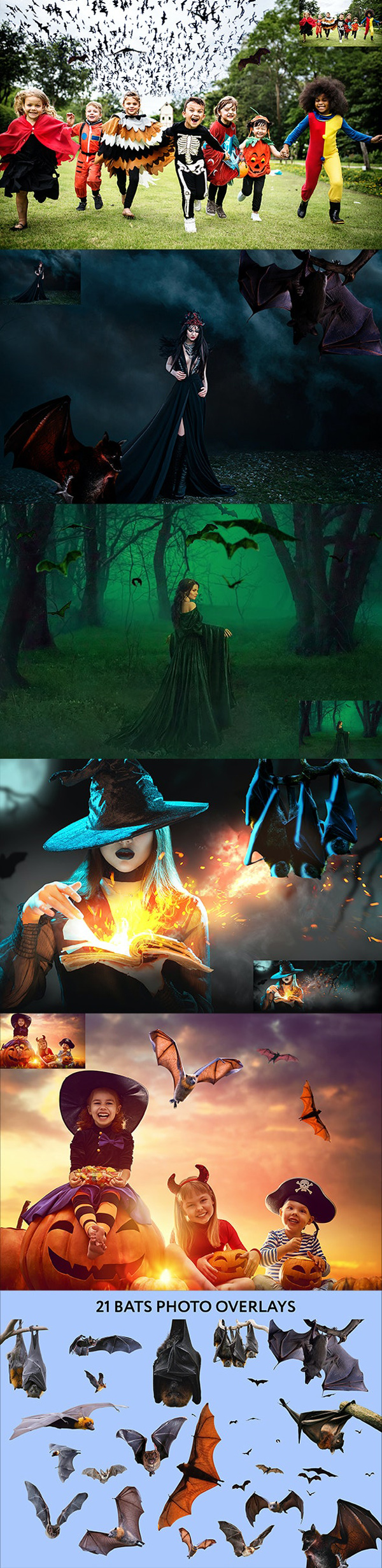 20 Bat Photo Overlays