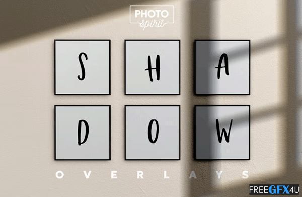 Graphicriver - Organic Shadow Photo Overlays Organic Shadow Photo Overlays