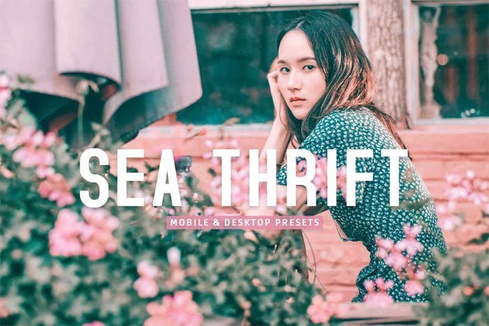 Sea Thrift Pro Lightroom Presets