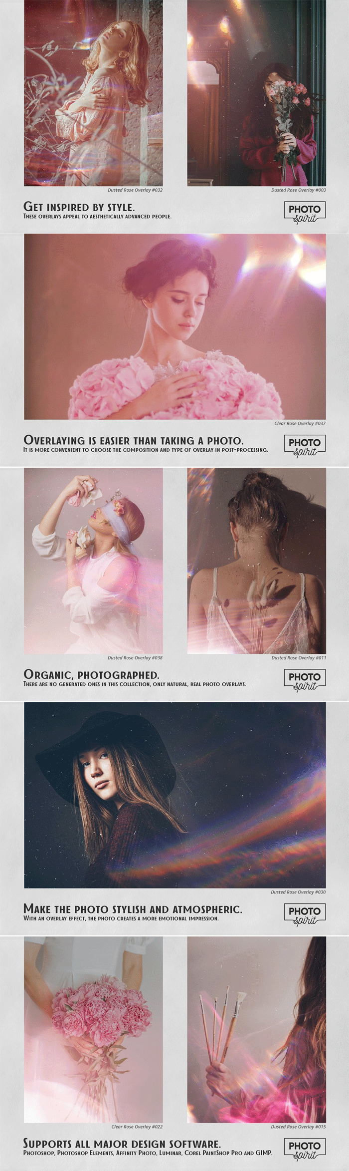 Dusted Rose Overlays