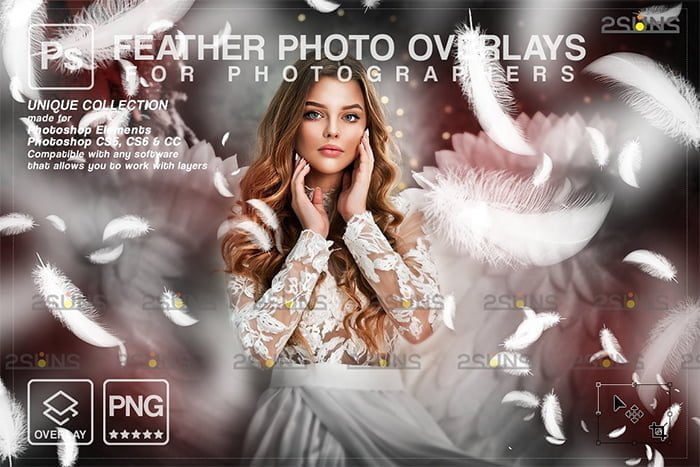White Feather Photo Overlays Free Download White Feather Photo PNG Overlays