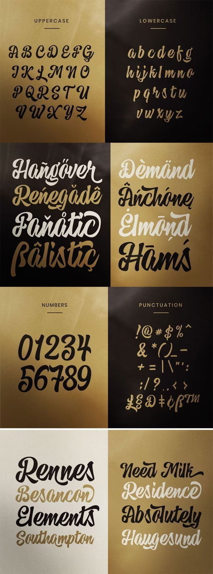 Hedgehog Bold Script Logo Font