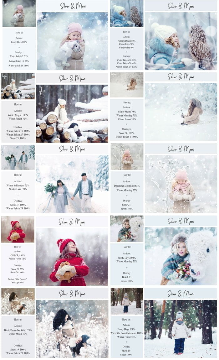 Winter Bundle PS Actions + Overlays