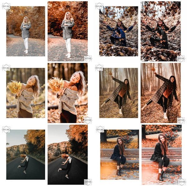 12 Actions Autumn Dance