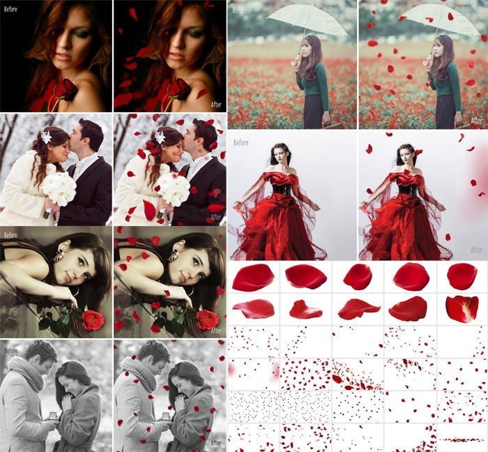 30 Falling Rose Petals Photo Overlay 30 Falling Rose Overlay