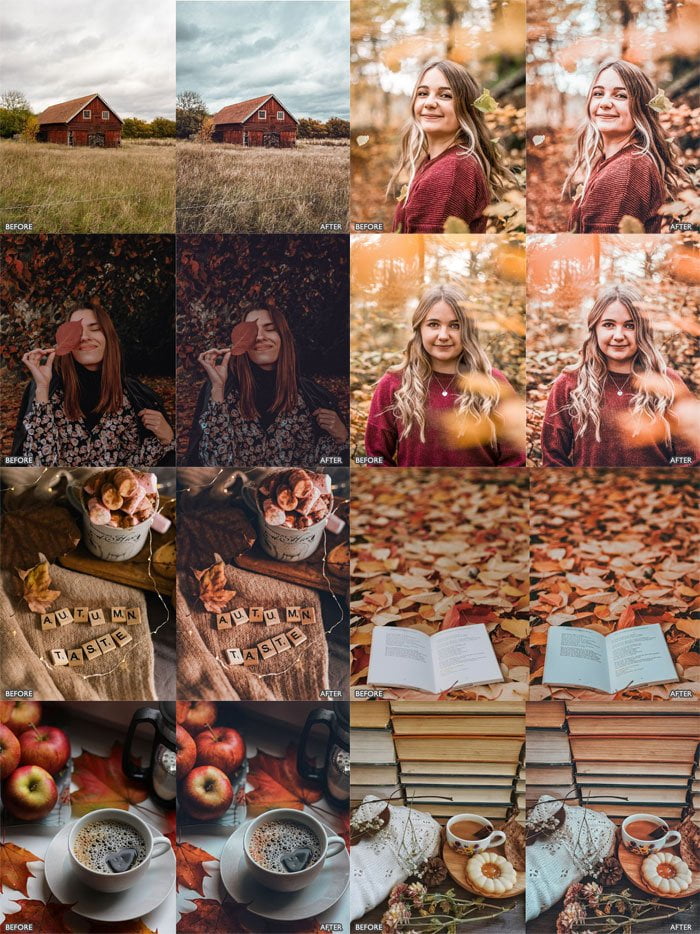 Autumn Vibrant Presets
