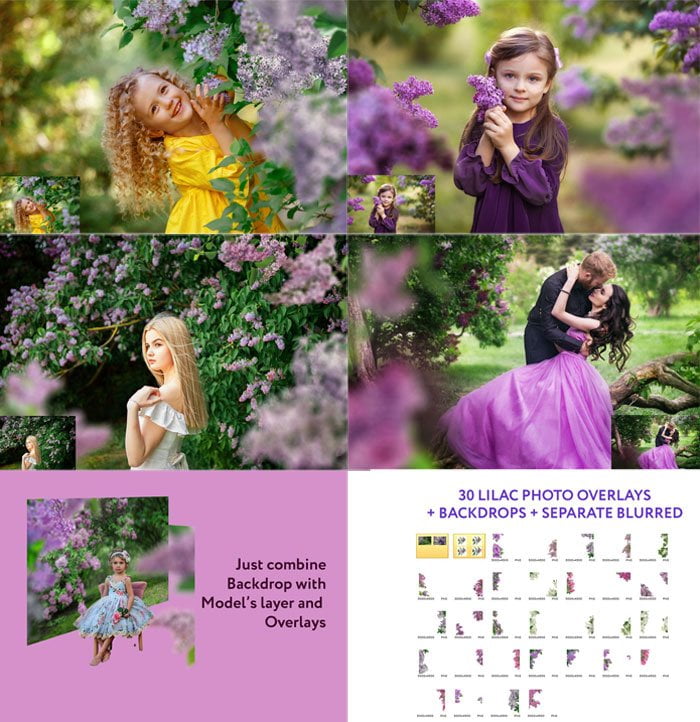 30 Lilac Photo Overlays
