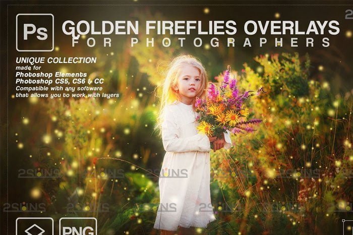 Gold Fireflies Overlay