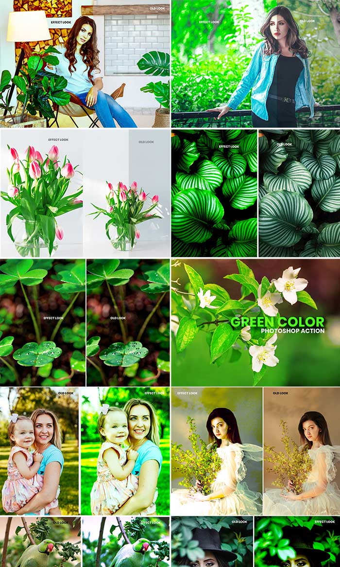 n Color Photoshop Action