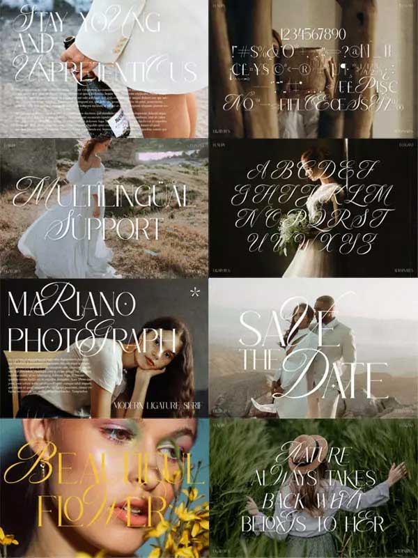Creativefabrica - Merqola Nature Font Merqola Nature Font