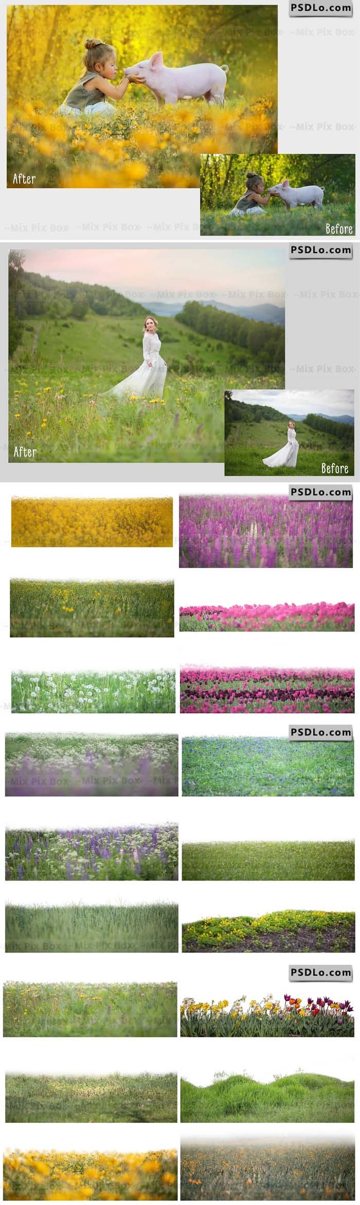 Flowers and Grass Overlays Free Download Flowers and Grass Overlays