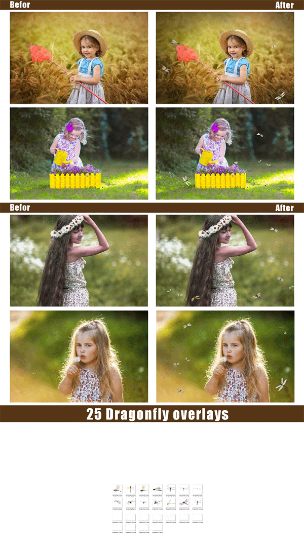 25 Dragonfly Photoshop Overlays 25 Dragonfly Overlays