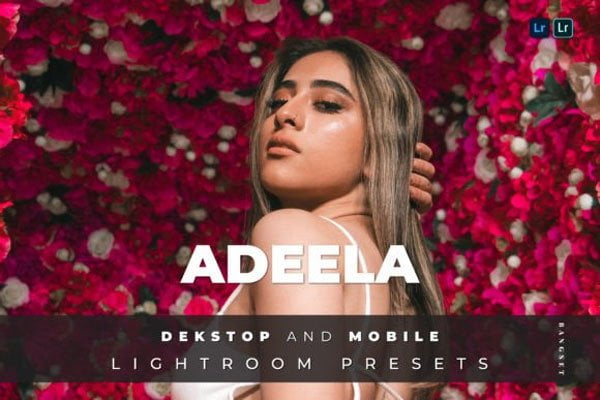 Creativefabrica - Adeela Lightroom Presets Adeela Lightroom Presets