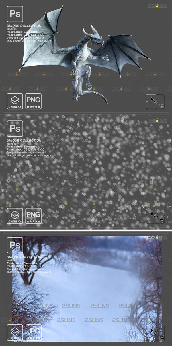 Digital Winter Backdrop Dragon Overlay Digital Backdrop Dragon Overlay