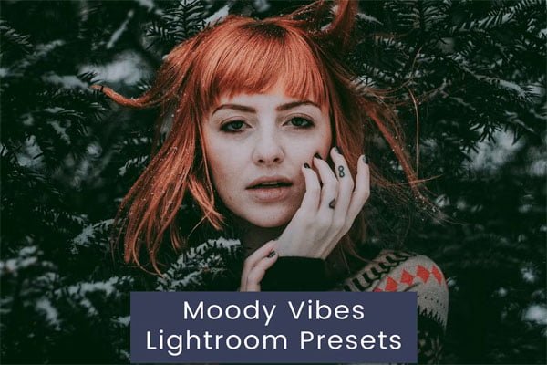 Moody Vibes Lightroom Presets Moody Vibes Lightroom Presets