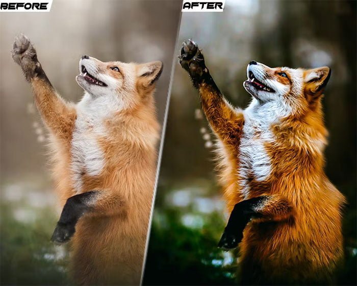 PRO Presets V.58 Photoshop & Lightroom