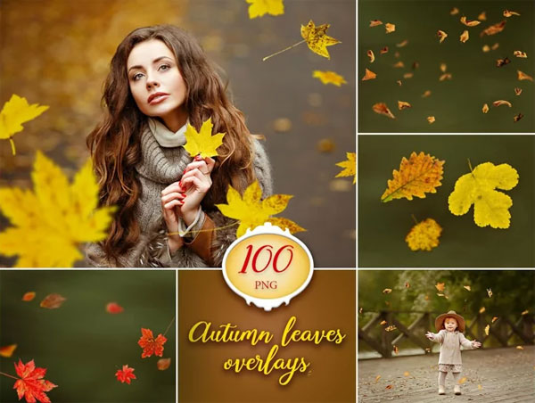 100 Autumn Falling Leaves Photo Overlays 100 Autumn Falling Leaves Overlays