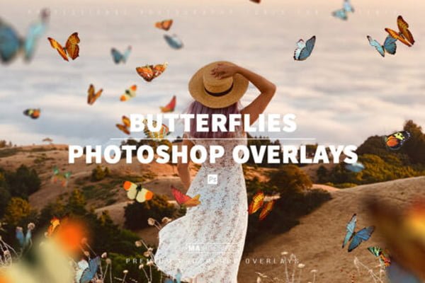 100 Realistic Butterflies Overlays 100 Realistic Butterflies Overlays