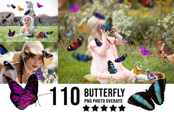110 ButterflyOverlay