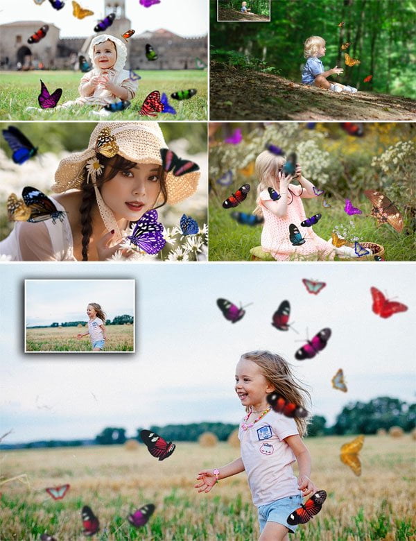 110 Butterfly Overlay