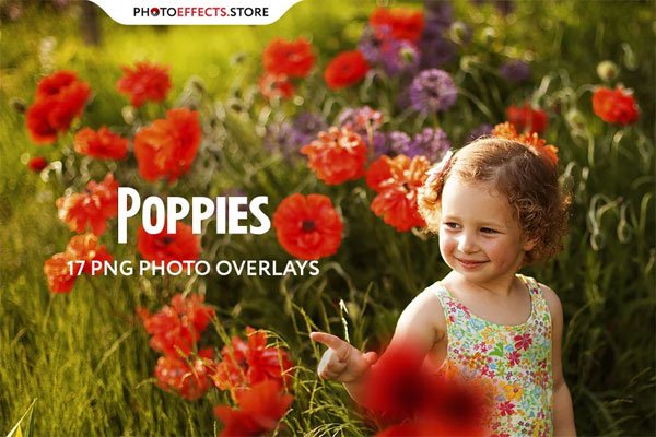 17 Poppie Flowers Photo Overlays 17 Poppie Flowers Photo Overlays