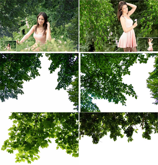 175 Tree Green Branches