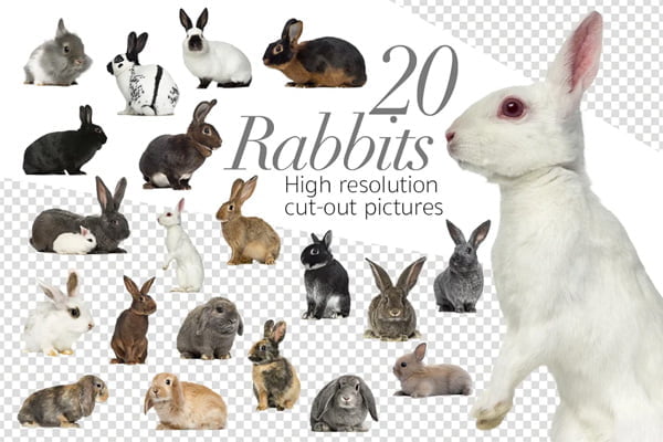 20 Rabbits Cut-Out Pictures