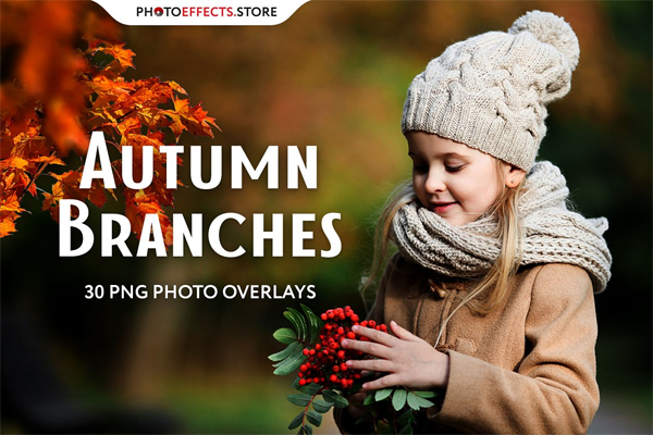 30 Autumn Branch Overlays