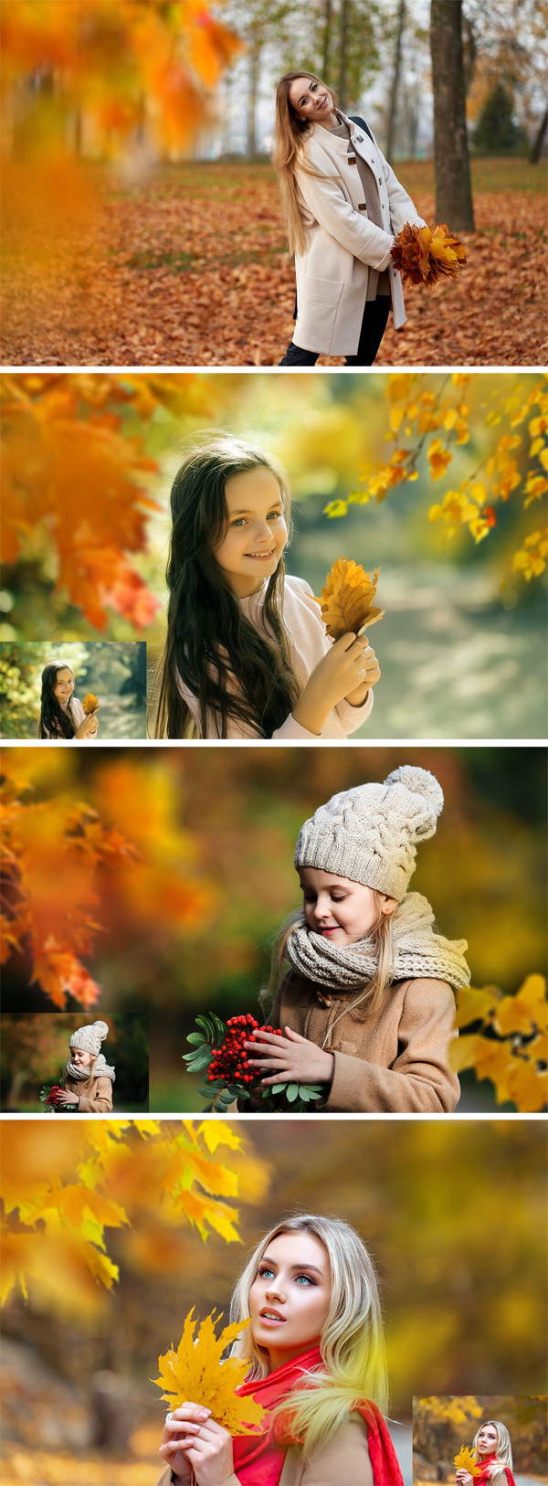 30 Autumn Branch Overlays