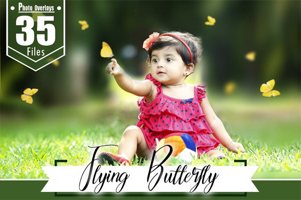 35 Flying Butterfly Overlays