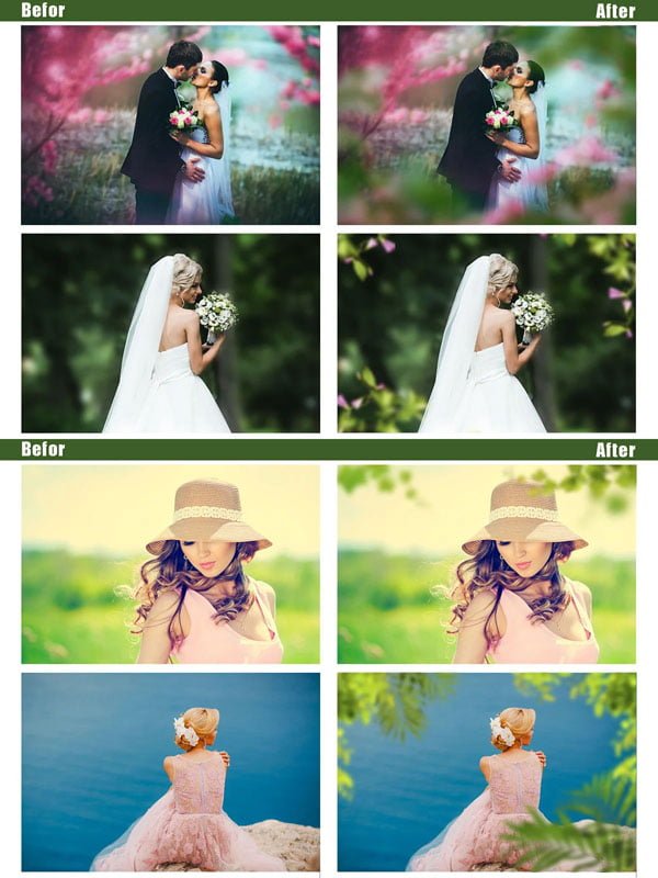 35 Png Branch Photo Overlays 35 Png Branch Photo Overlays