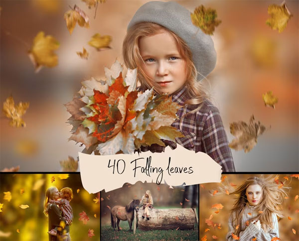 Autumn Falling Leaves Overlays