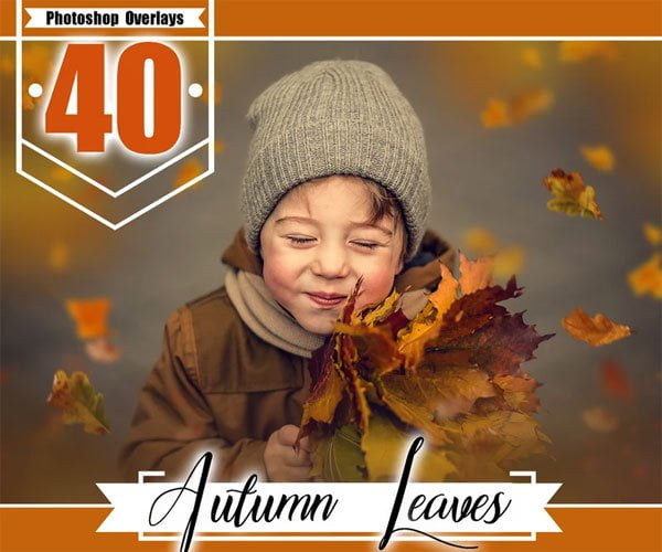 40 Autumn Leaves Photo Overlays 40 Autumn Leaves Overlays