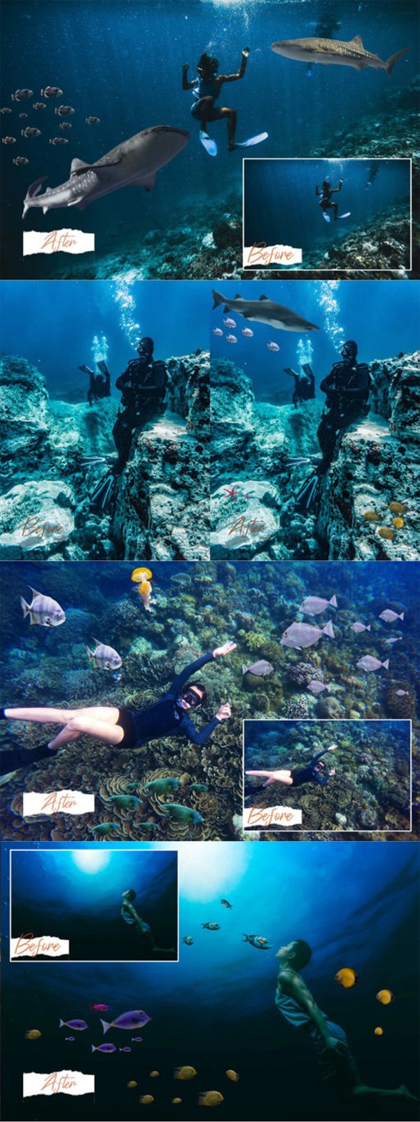 40 Sea Fish Overlays