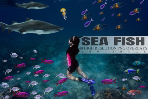 40 Sea Fish Overlays