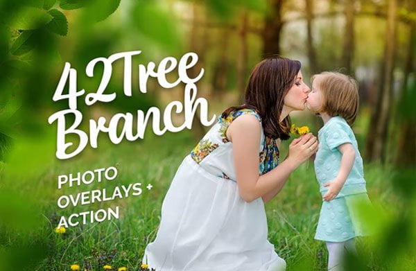 42 Green Tree Branch Photo Overlays 42 Green Tree Branch Overlays