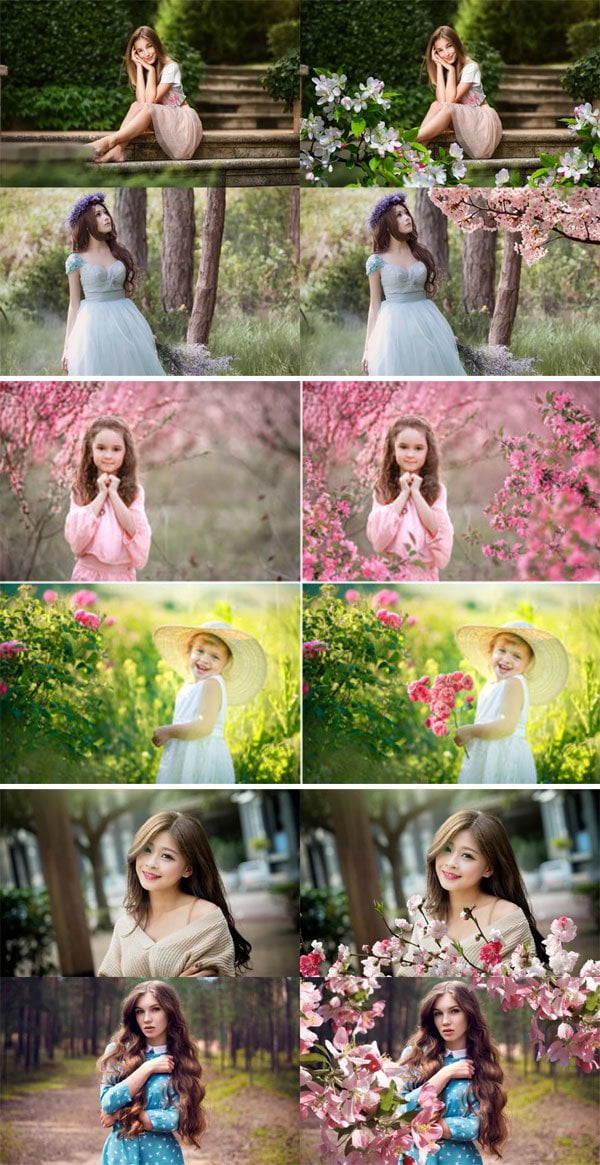 50 Blossom Tree Branch Overlays 50 Blossom Tree Branch Overlays