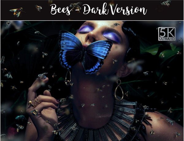 5K Bees - Dark version Overlays 5K Bees - Dark version Overlays