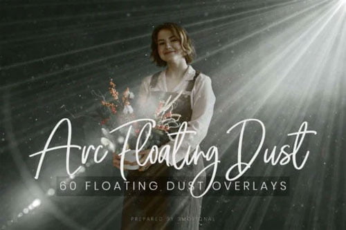 60 ARC Floating Dust Flare Effect Photo Overlays 60 ARC Floating Dust Flare Effect Photo Overlays