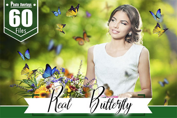 60 Butterfly Photoshop Overlays 60 Butterfly Overlays
