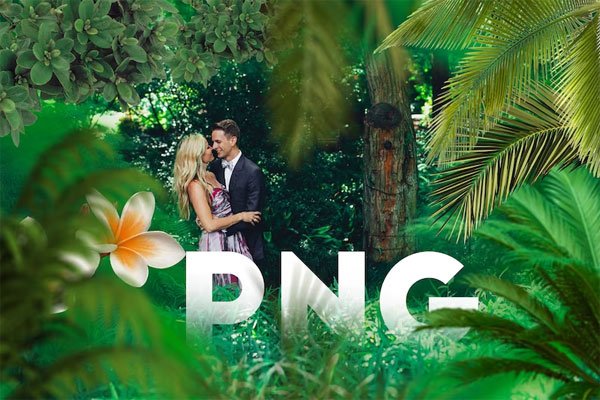 65 Tropic Tree Branches Overlays