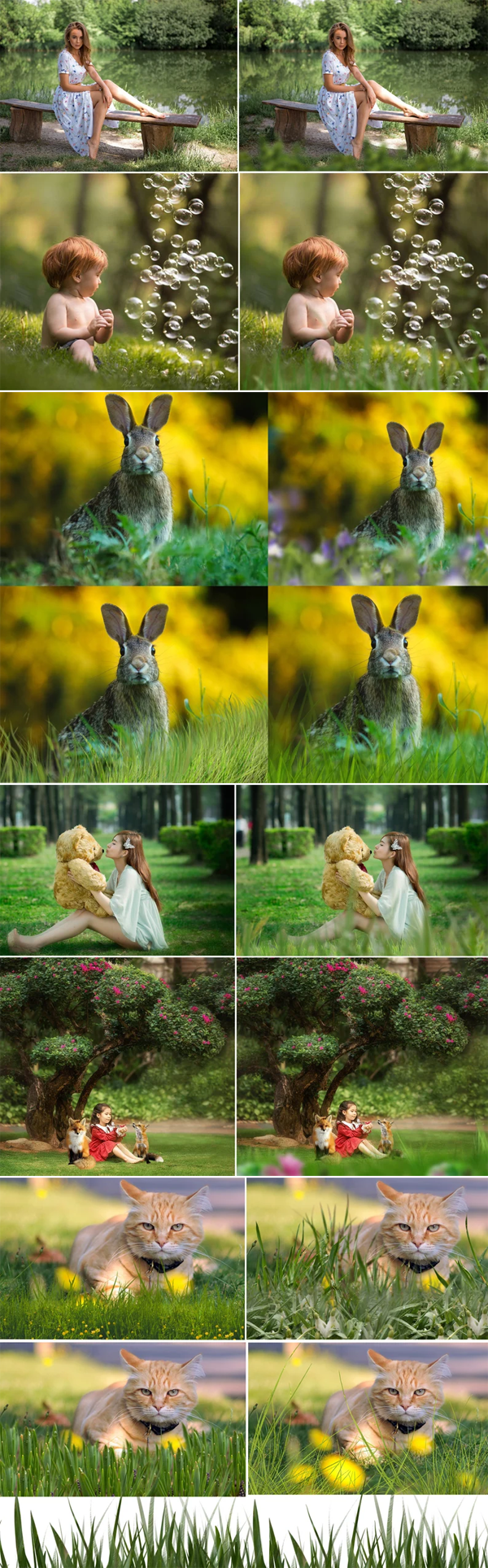 76 PNG Grass Overlays