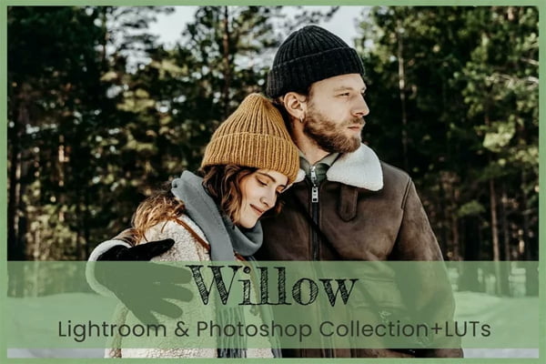 8 Willow Photoshop Actions Winter Warm Vibrant ACR Filter