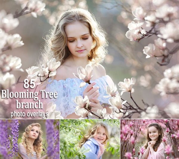 85 Blooming Tree And Flower Branches Overlays 85 Blooming Tree And Flower Branches