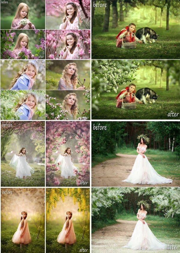 85 Blooming Tree And Flower Branches Overlays 85 Blooming Tree And Flower Branches